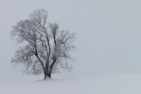 暴雪代理最新消息(暴雪代理最新消息：《守望先锋》新英雄“超载”即将上线)