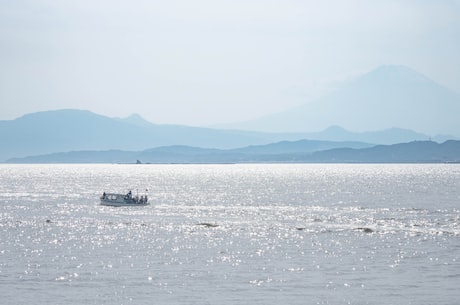 青岛海边(青岛海边的美丽风光)