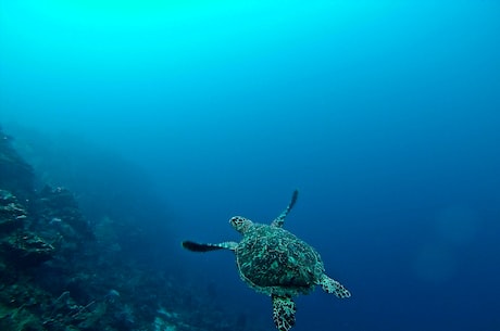 豪爵海王星(豪爵海王星：硬汉之选的重要价值体现)