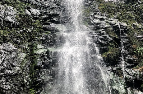 龙泉山(探秘龙泉山：自然之美与人文传承相映成辉)