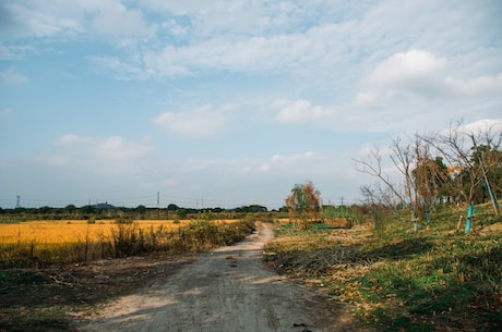 高速公路堵车(高速公路堵车严重影响出行体验，你可知道这些通行常识？)