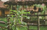 南宁天气预警：即将迎来一波强降雨