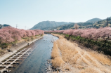 富春山居图：一幅永撒播的经典山水画