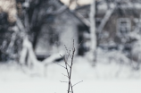 下雪心情绪言，看了心情愉快