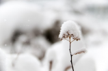 叶辰沈傲雪小说全文免费阅读(全网首发！《叶辰沈傲雪》小说全文免费阅读)