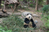 防腐地坪(防腐地坪——恒久保持雅观的有力武器)