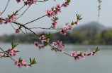 八宝山风水(探秘八宝山风水之谜)